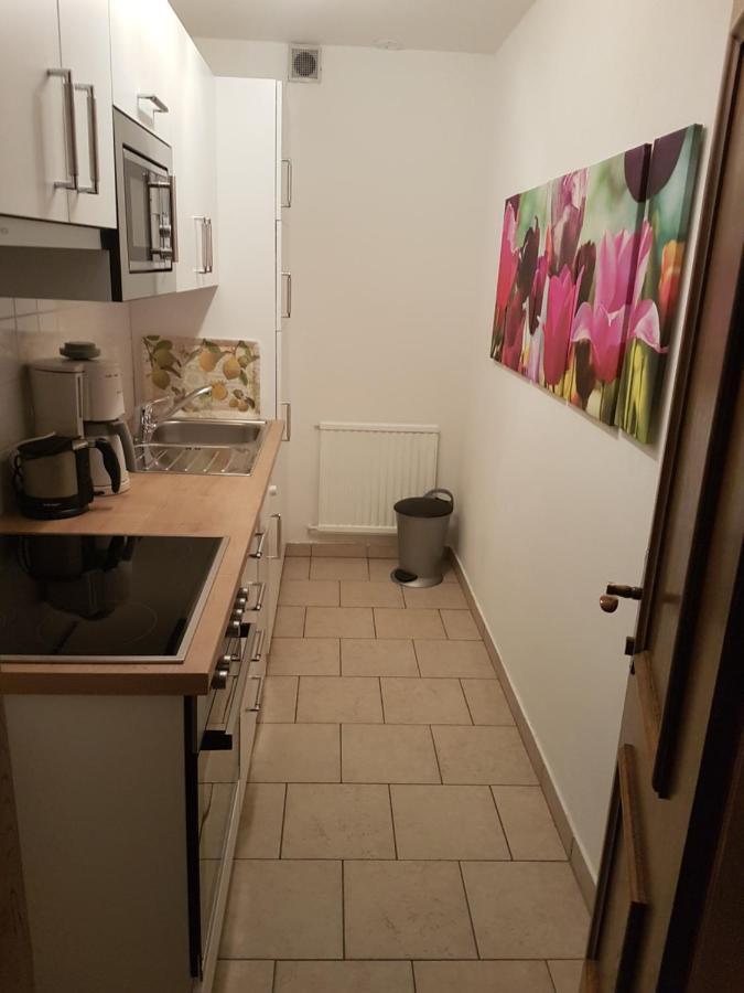 Apartments Spiegl Holzmann Bischofshofen Zewnętrze zdjęcie