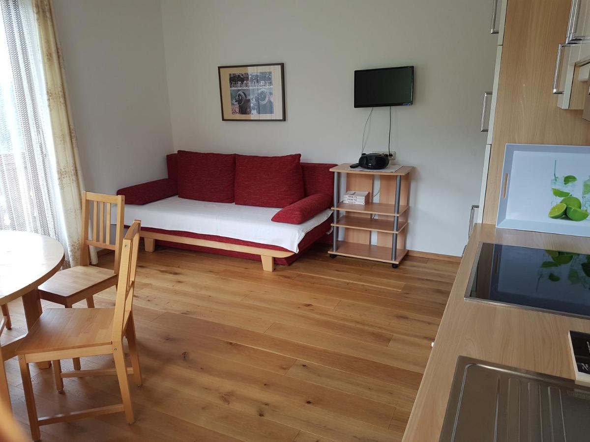 Apartments Spiegl Holzmann Bischofshofen Zewnętrze zdjęcie